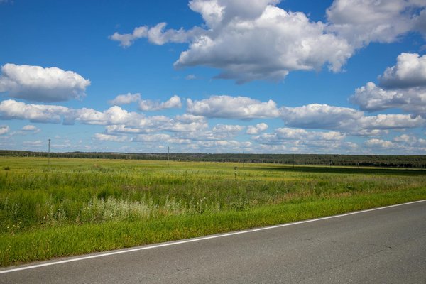 Les véhicules les plus économiques disponibles aujourd'hui : guide complet